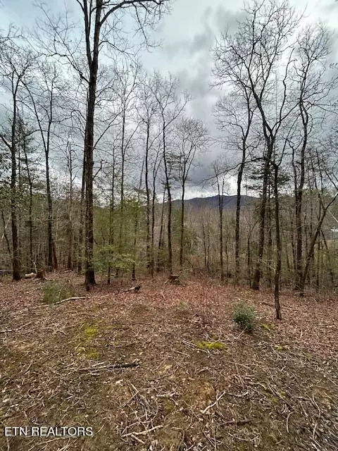 Townsend, TN 37882,329 Beckett Ridge Rd