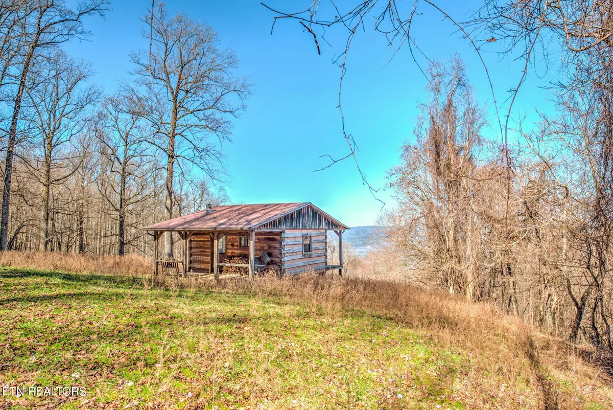 Townsend, TN 37882,172 Pam LN