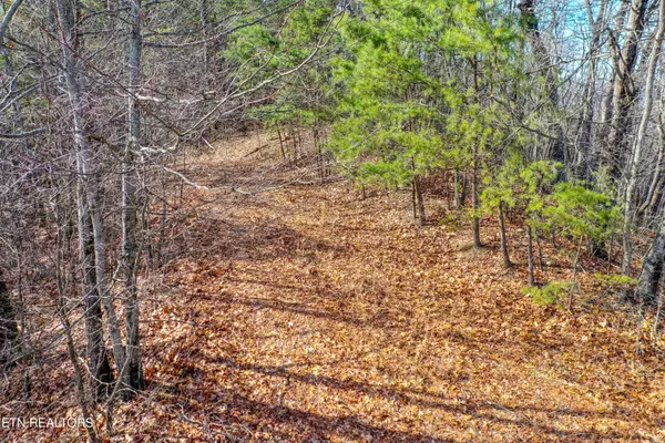 Maryville, TN 37803,4951 Look Rock Crest DR