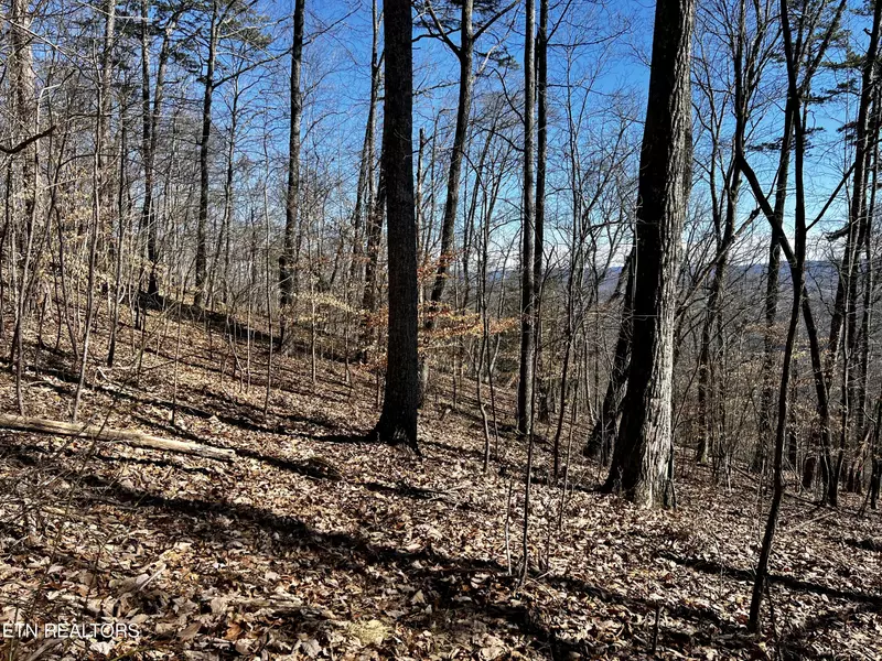 Lot 426 Chimney Rock Rd, New Tazewell, TN 37825