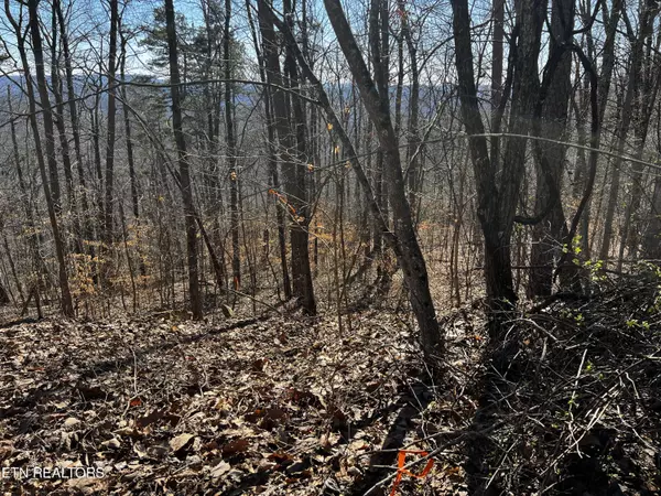 New Tazewell, TN 37825,Lot 426 Chimney Rock Rd