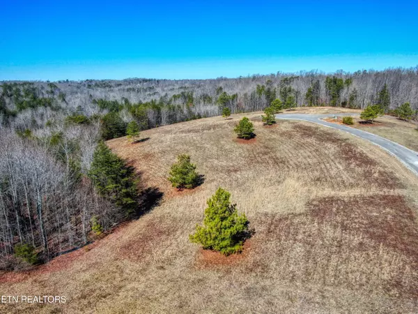 Jamestown, TN 38556,Lot 54 Canter Hill