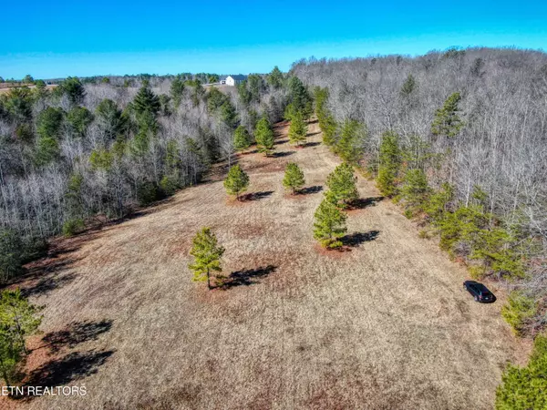 Jamestown, TN 38556,Lot 56 Canter Hill