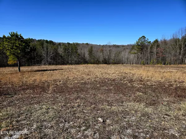 Jamestown, TN 38556,Lot 56 Canter Hill