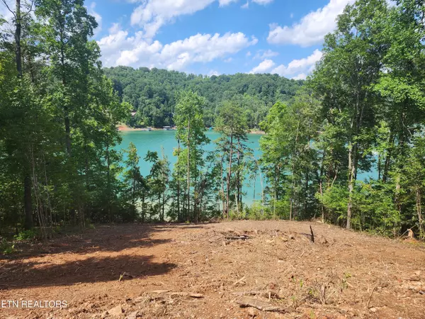 Lafollette, TN 37766,Lot 191 Waterside LN