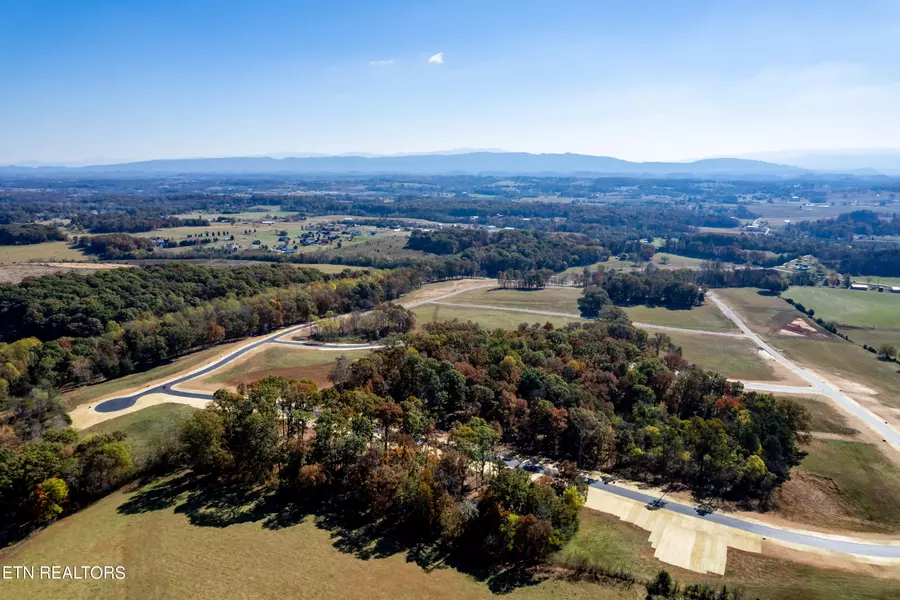 LOT83 1028 Sophie DR, Greenback, TN 37742