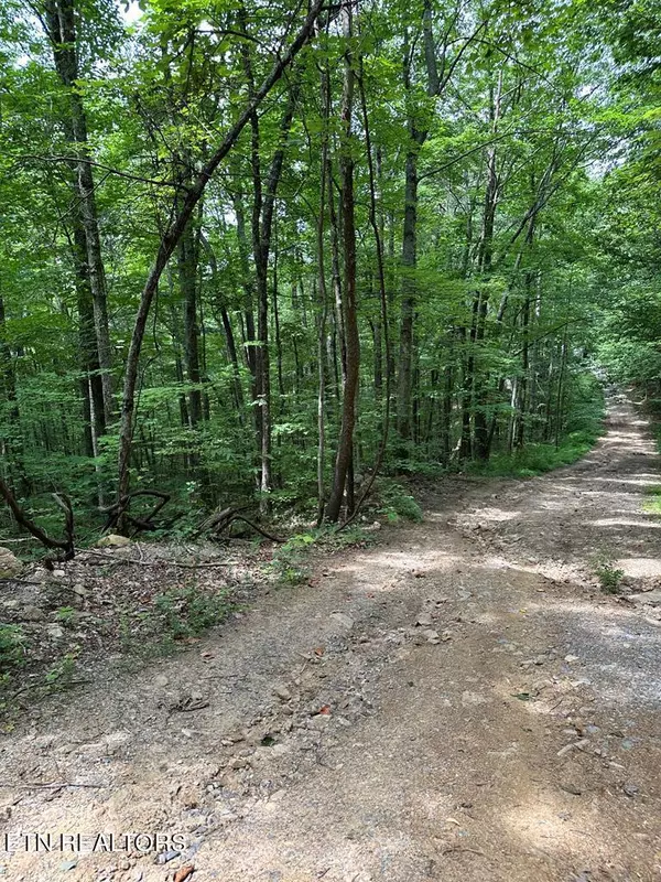 Sevierville, TN 37862,Lot 44 Hemlock St