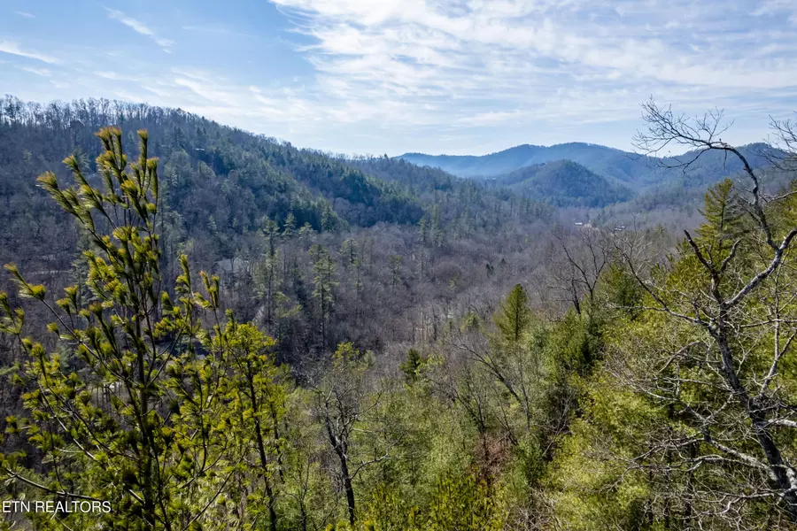 171 Anatole Pass, Townsend, TN 37882