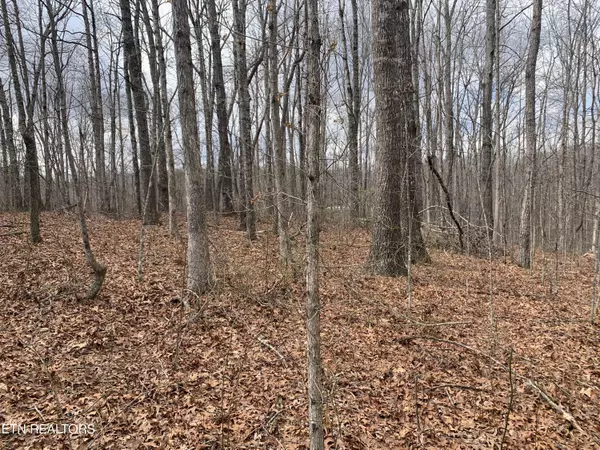 Altamont, TN 37301,Pickett Lake Rd