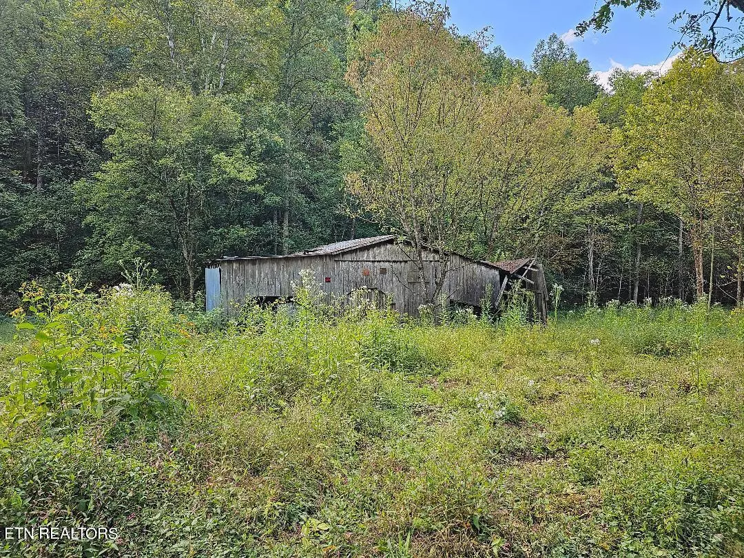 Tazewell, TN 37879,118ac Mill Hollow Rd