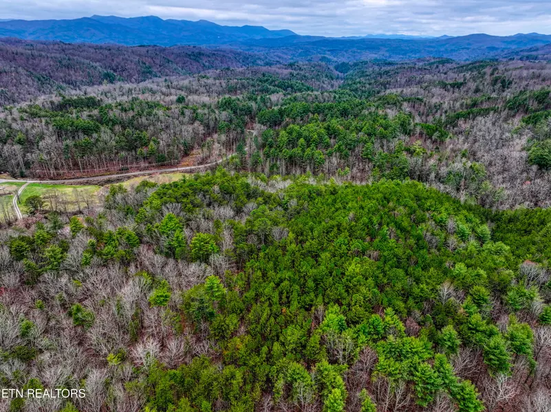 57.09 acs Rafter Rd, Tellico Plains, TN 37385