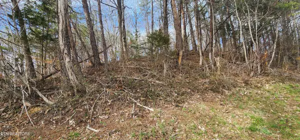 Maynardville, TN 37807,Lot 4 Maynardville Hwy