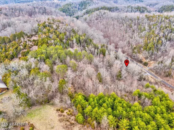 Bybee, TN 37713,1367 Bruner Grove Rd