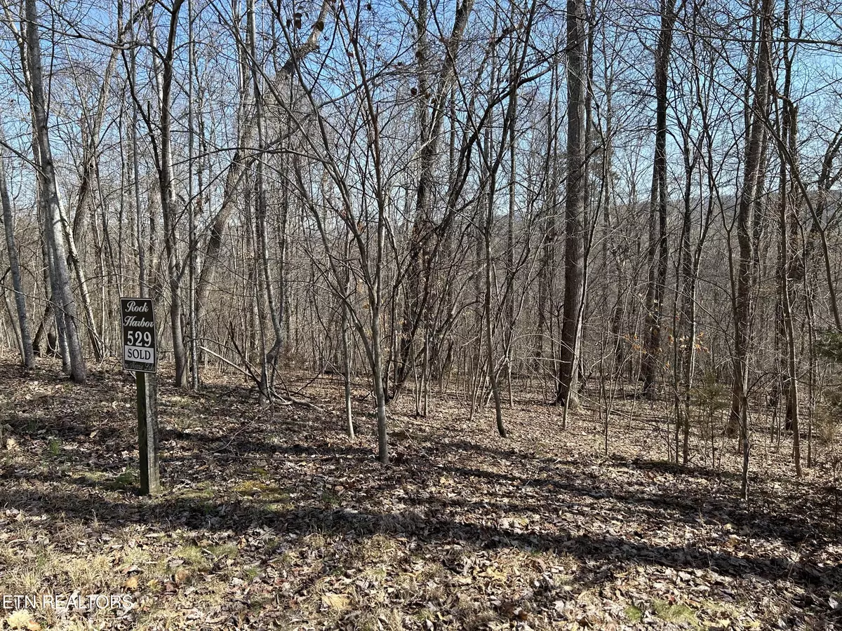 New Tazewell, TN 37825,Lot 529 Garnet Trail Tr