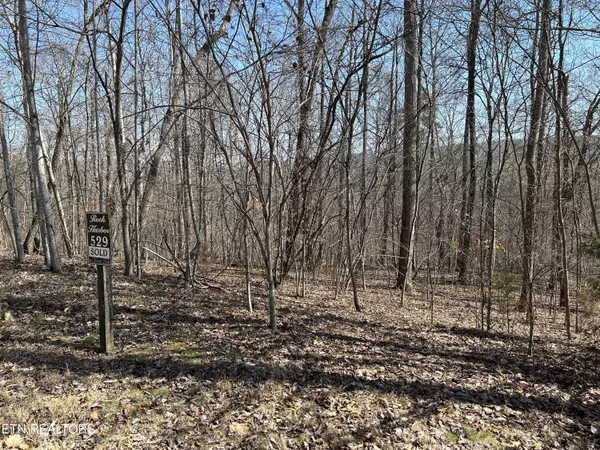 Lot 529 Garnet Trail Tr, New Tazewell, TN 37825