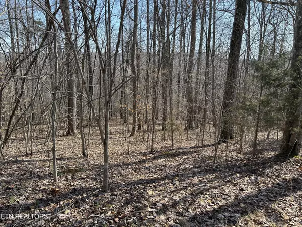 New Tazewell, TN 37825,Lot 529 Garnet Trail Tr