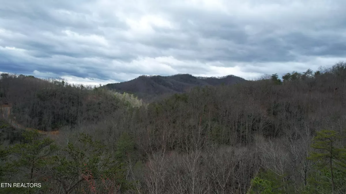 Sevierville, TN 37862,2875 Happy Hollow Rd