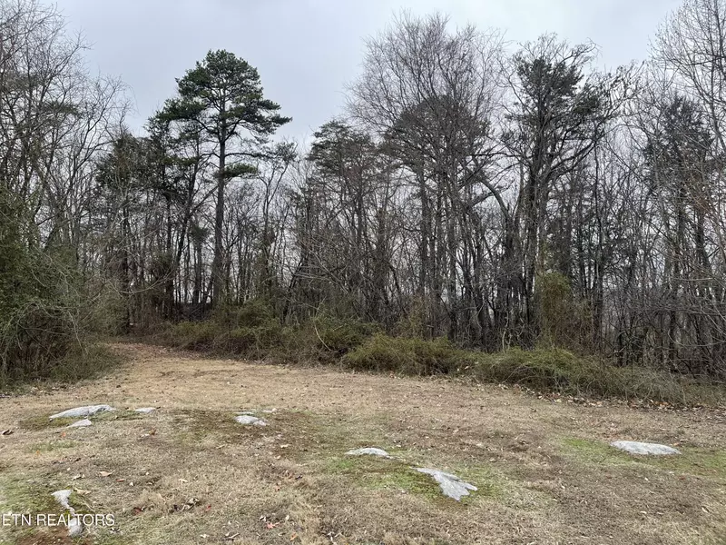 Lot 15 Burnett DR, Kodak, TN 37764