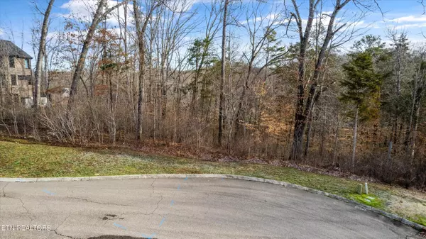 Knoxville, TN 37932,Lot 65 Viewcrest LN