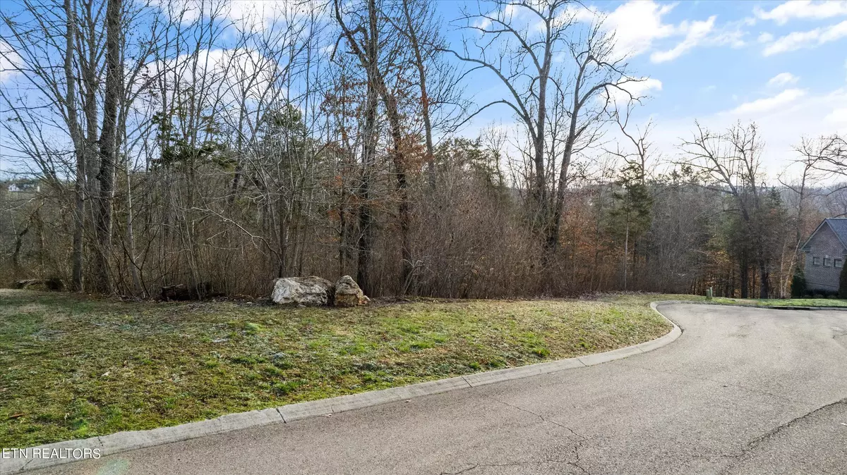 Knoxville, TN 37932,Lot 65 Viewcrest LN