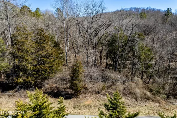 Sharps Chapel, TN 37866,Lot #44 Old Leadmine Bend Rd