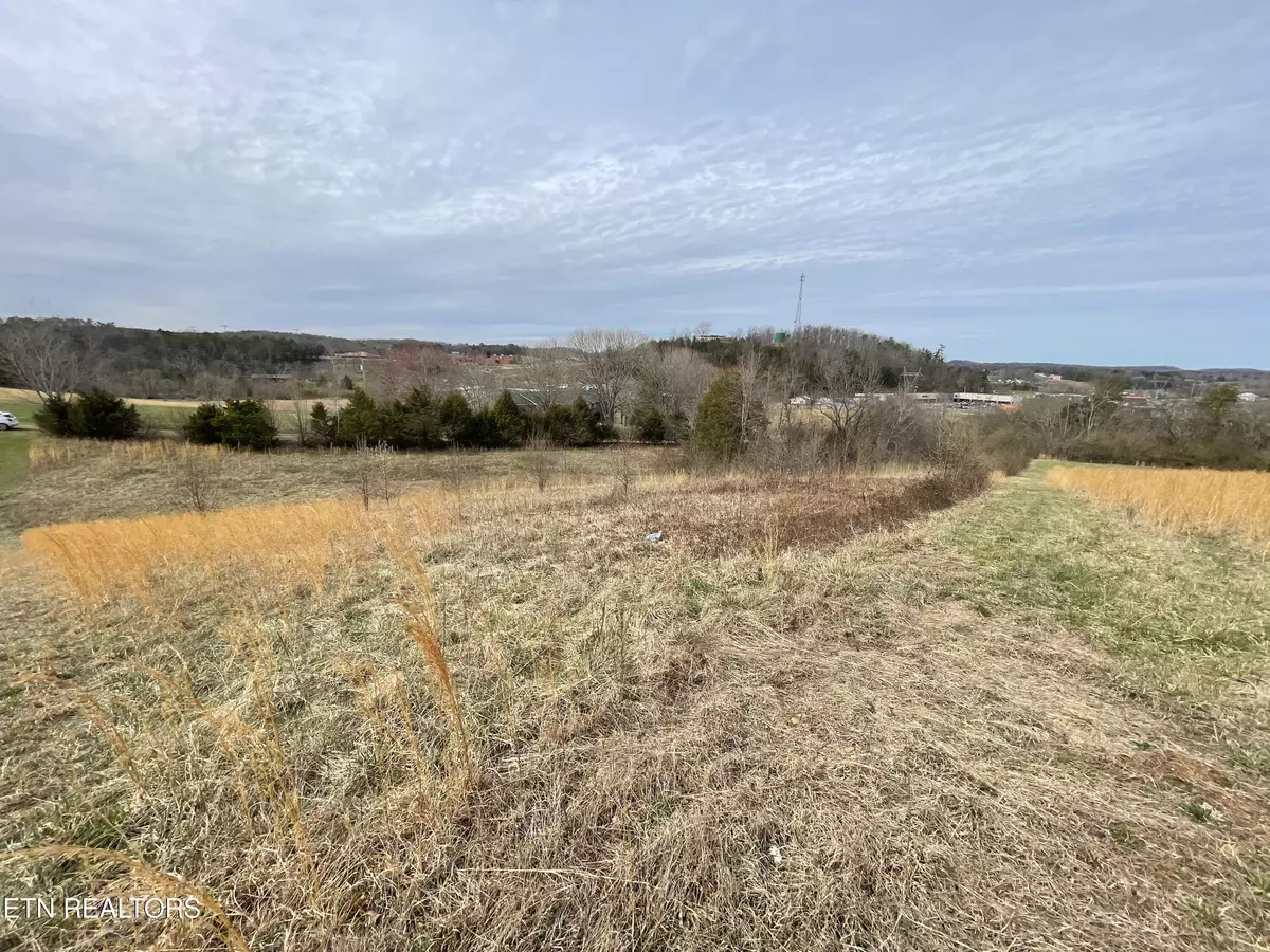 Tellico Plains, TN 37385,2.51ac High St