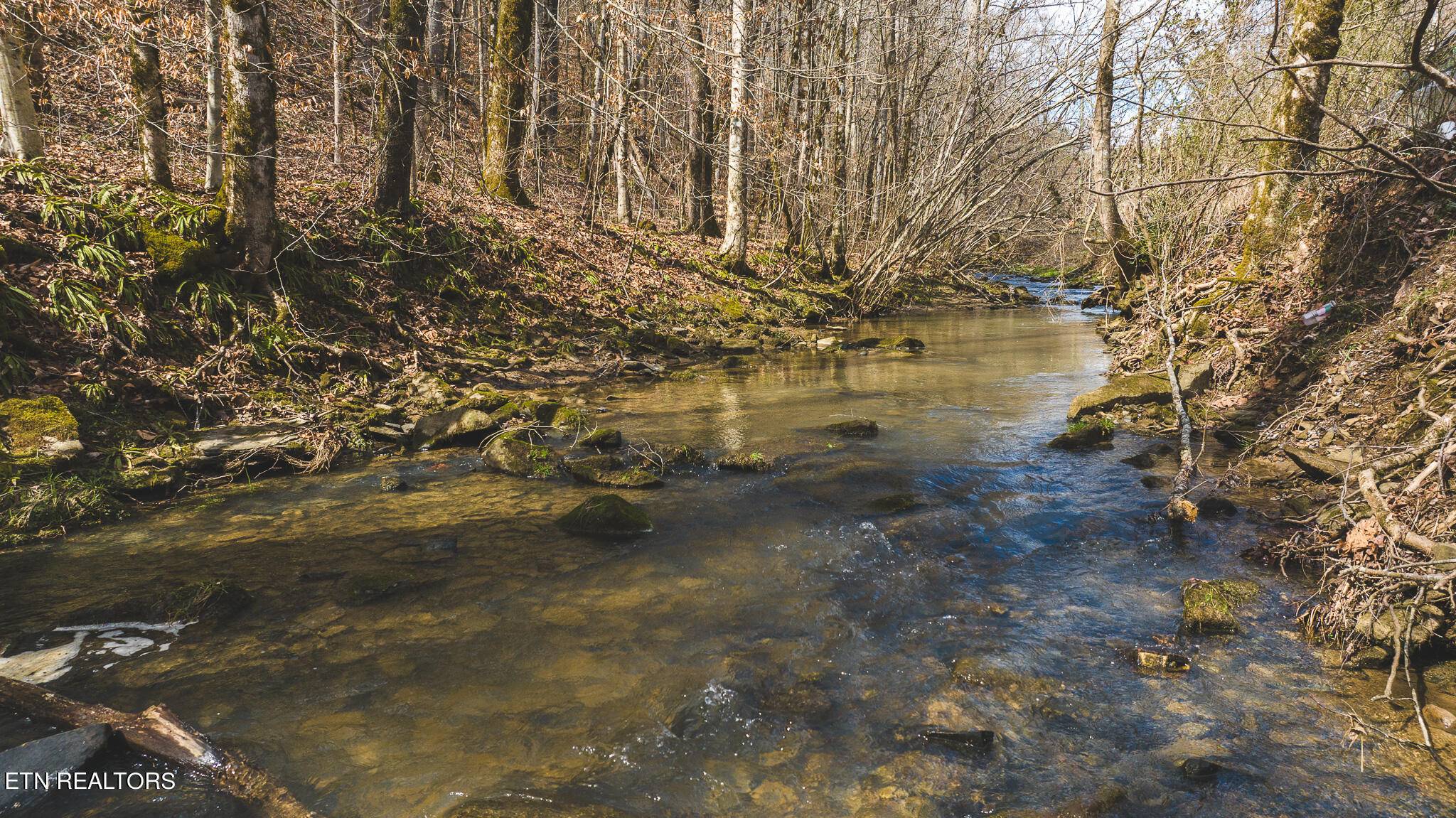 0 Hickory Cove Rd, Rogersville, TN 37857