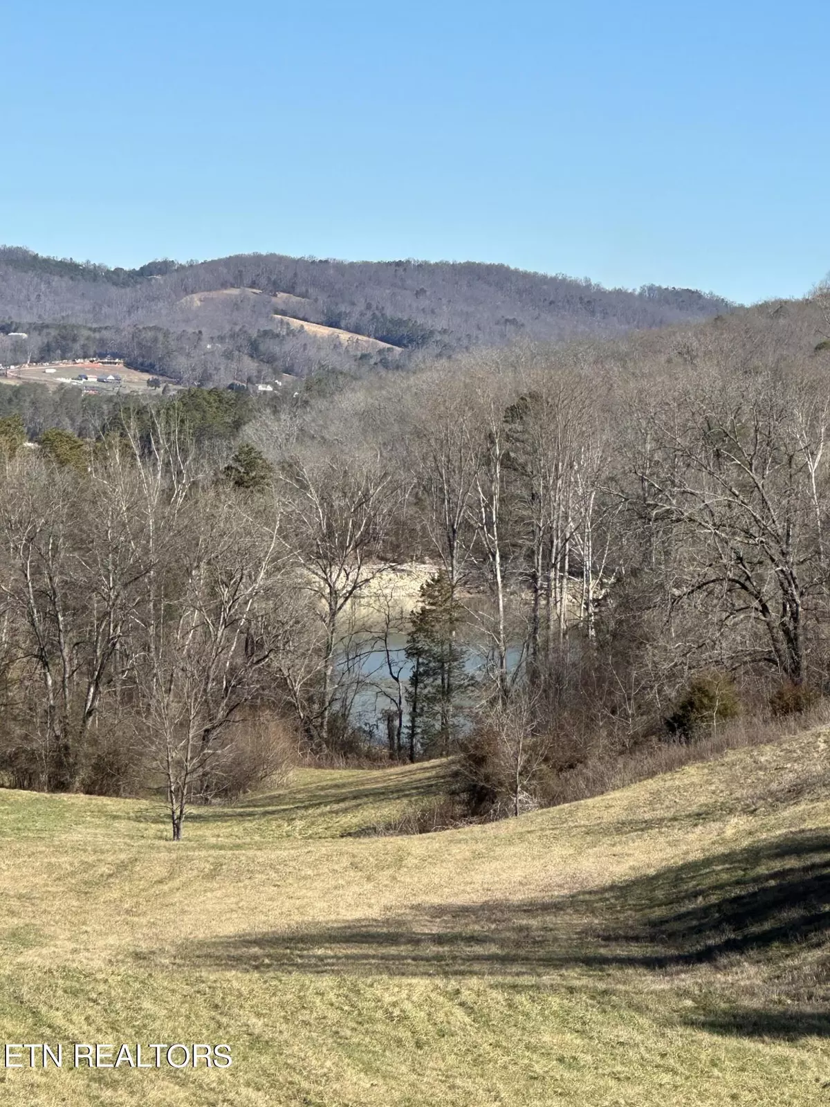 Maynardville, TN 37807,Bob Wright Rd Lot 41 Rd