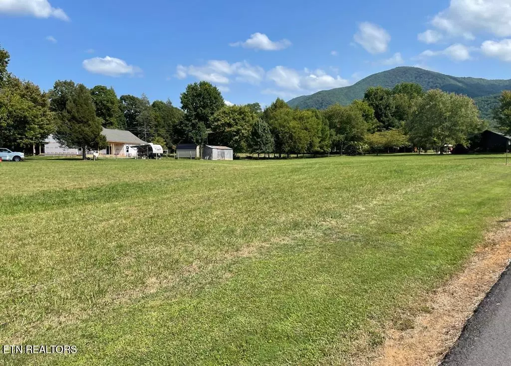 Sevierville, TN 37862,Lot 20 Huskey LN