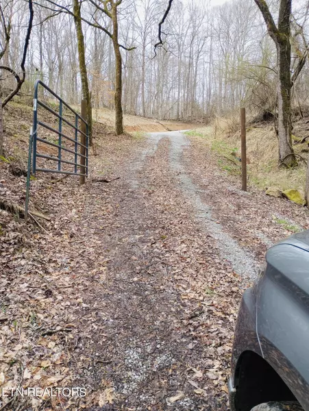 00 Bear Creek Rd, New Tazewell, TN 37825