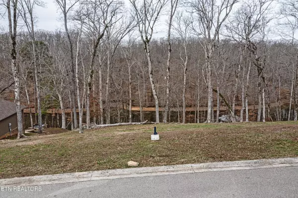 Ten Mile, TN 37880,386 Waterfront WAY