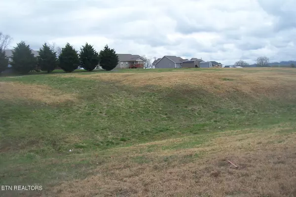 Whitesburg, TN 37891,Shirley DR