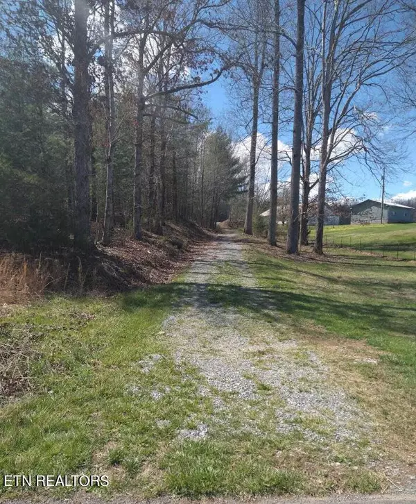 Tellico Plains, TN 37385,272 Reliance Rd