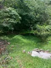 Dandridge, TN 37725,Tract 1 Lower Rinehart