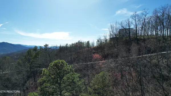 Sevierville, TN 37862,Lot 9 McGill Rd