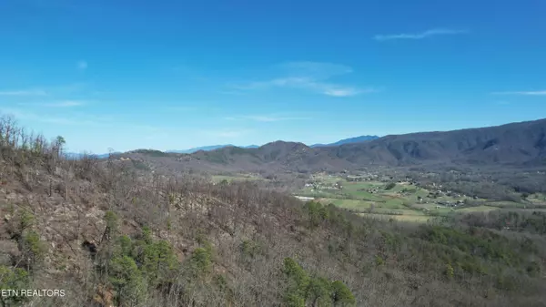 Sevierville, TN 37862,Lot 10 McGill Rd