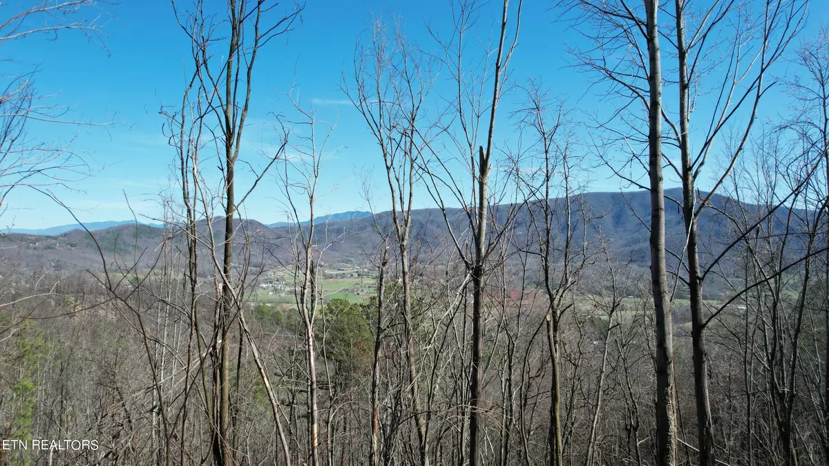 Sevierville, TN 37862,Lot 10 McGill Rd