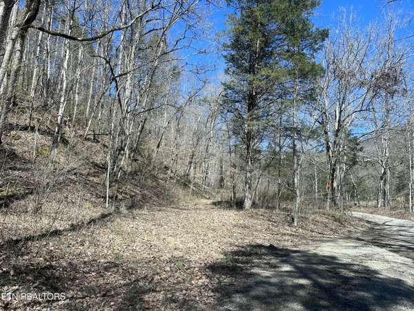 Skaggs Hollow Rd, Tazewell, TN 37879