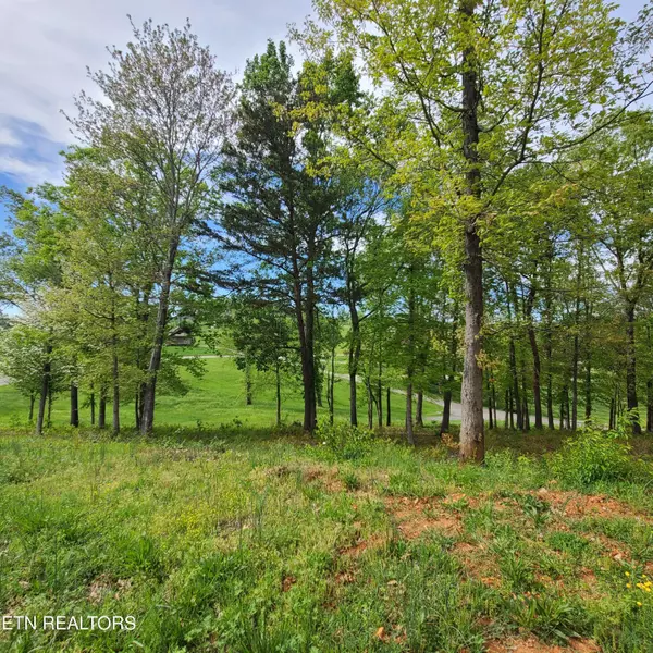 Dandridge, TN 37725,Lot 92R Majestic CIR