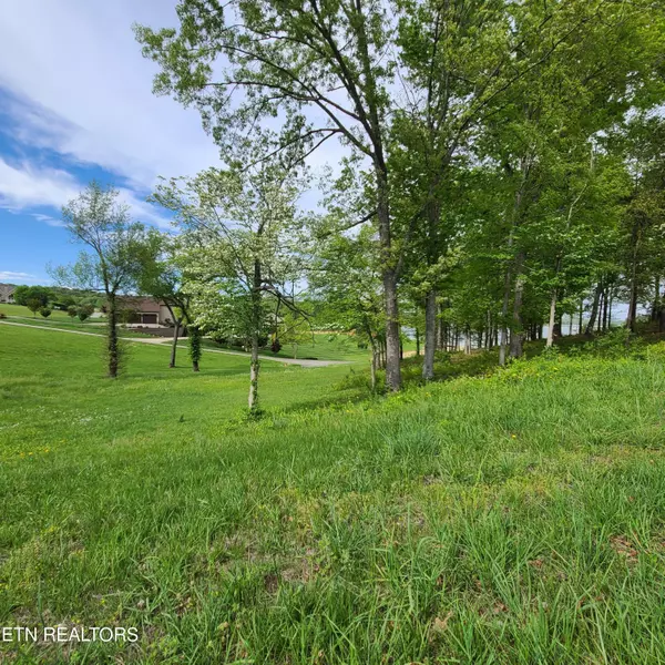 Dandridge, TN 37725,Lot 92R Majestic CIR