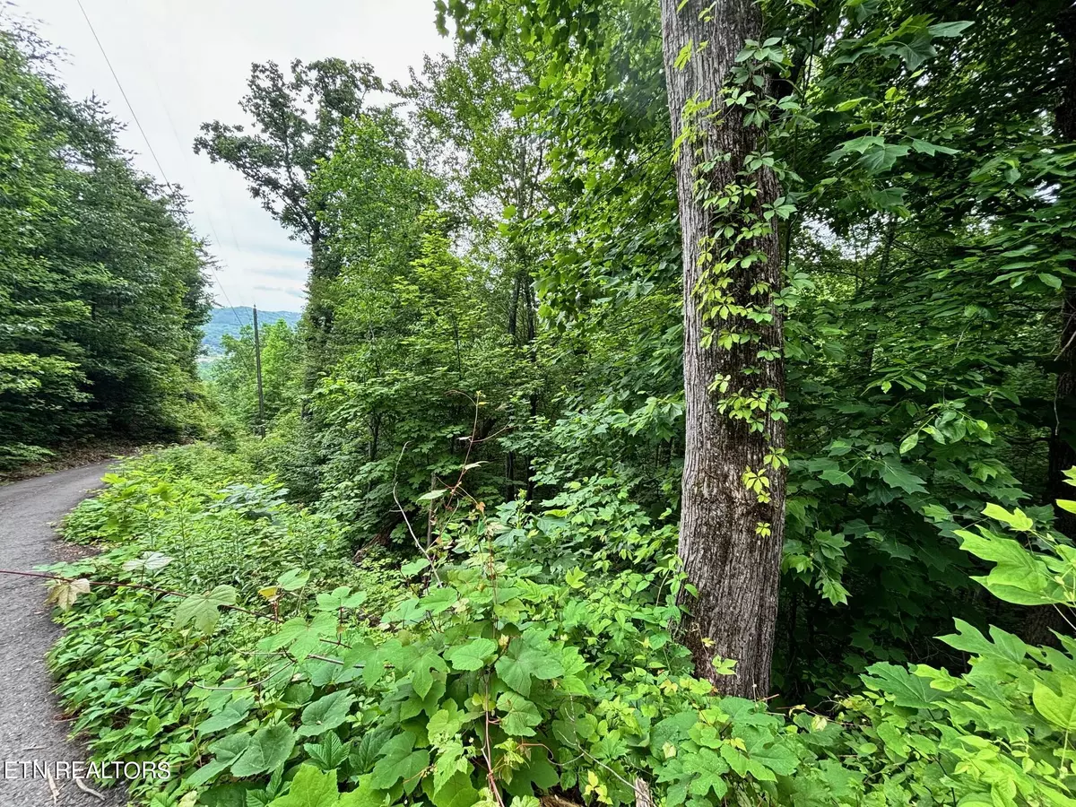 Sevierville, TN 37862,Lot 5 High Ridge Way