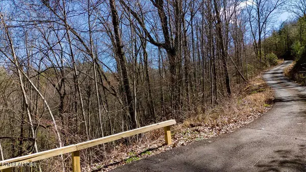 Sevierville, TN 37862,Lot 2 High Ridge Way