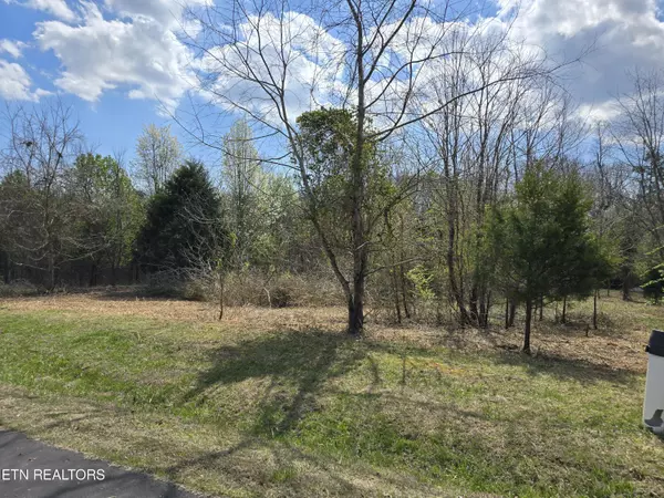 Vonore, TN 37885,Lot 3 Walelu Tr