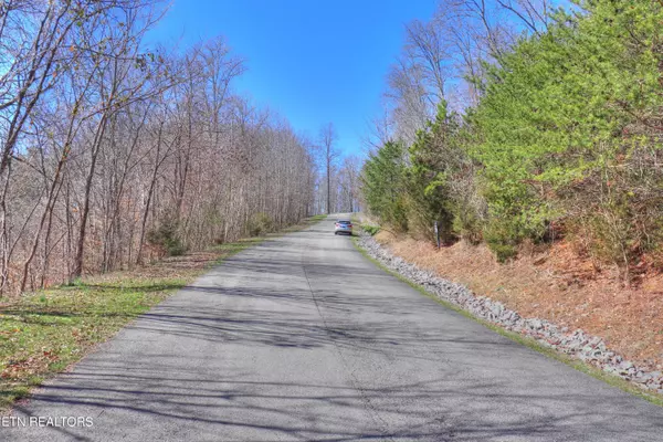 New Tazewell, TN 37825,Lot 331 Platinum DR