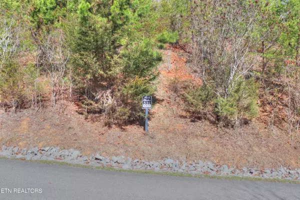 New Tazewell, TN 37825,Lot 331 Platinum DR