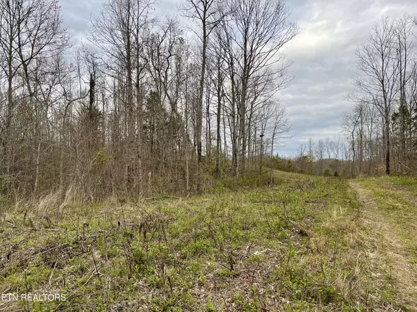 Decatur, TN 37322,Lot 4 County Road 188