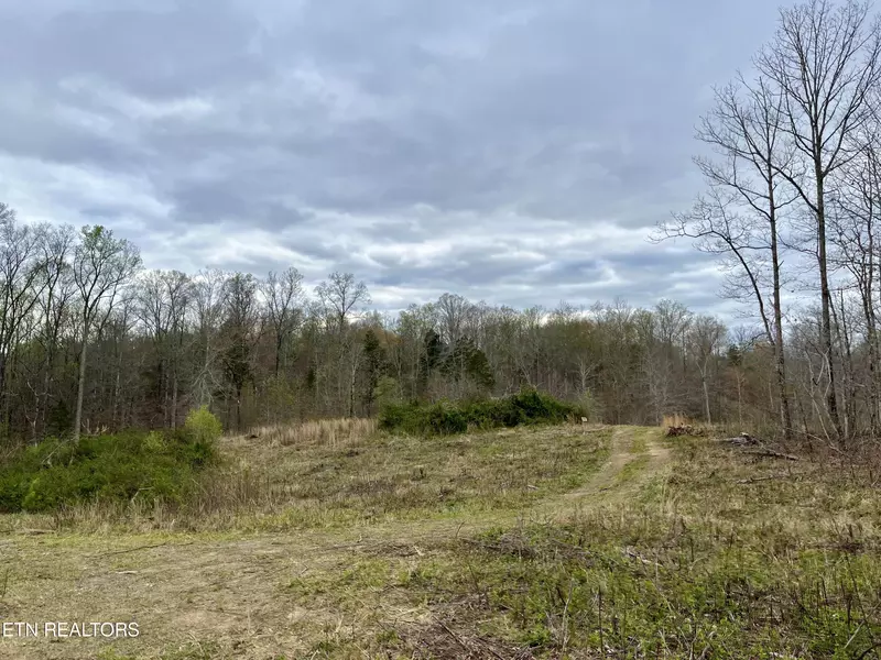 Lot 4 County Road 188, Decatur, TN 37322