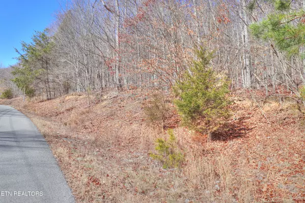 New Tazewell, TN 37825,Lot 139 Whistle Valley Rd