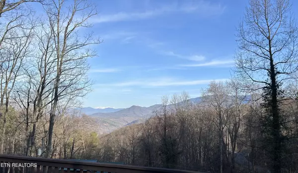 Gatlinburg, TN 37738,1078 Lower Alpine WAY