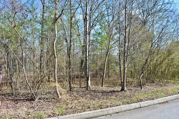 Spring City, TN 37381,Lot 29 Royal Crest DR